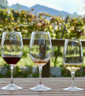 Koshu vineyard tour & wine tasting Image