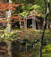 Saiho-ji moss garden Image