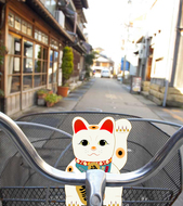 Kyoto cycling city tour  Image
