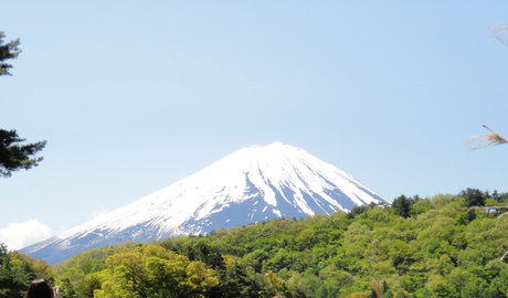 Day trip to Mount Fuji in a wheelchair accessible vehicle
