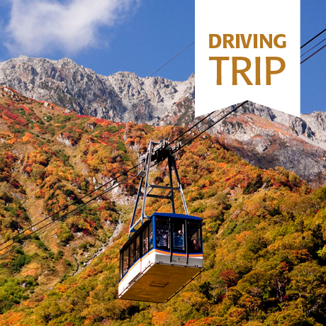 Alpine Adventure: Family Driving Holiday