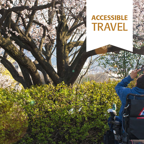 Wheelchair Accessible Golden Route