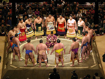 Sumo is not all push and shove