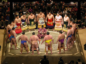 sumo2 Sumo is not all push and shove