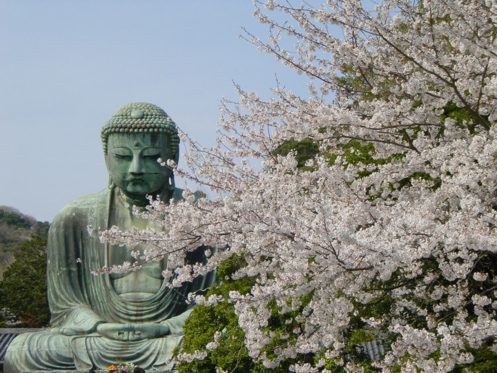 Big Buddha - Kamakura