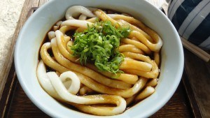 Bowl of chubby Ise udon