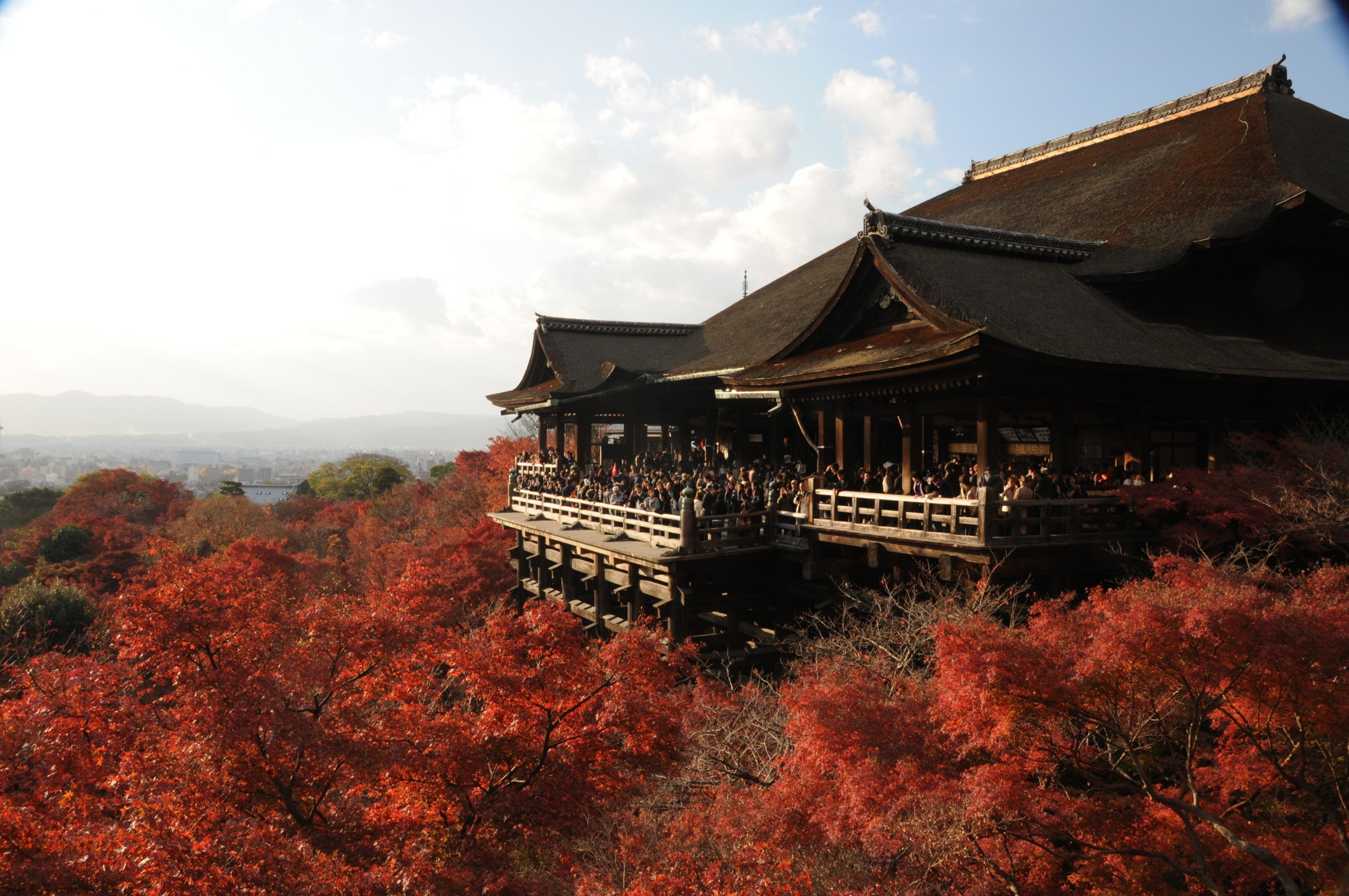 best place to visit japan november