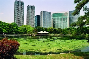 Hamarikyu Gardens