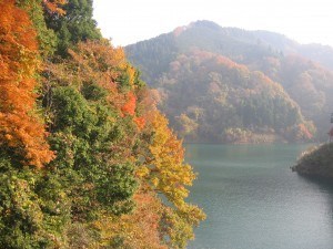 kanagawa japan 