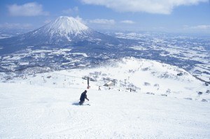 Niseko snow