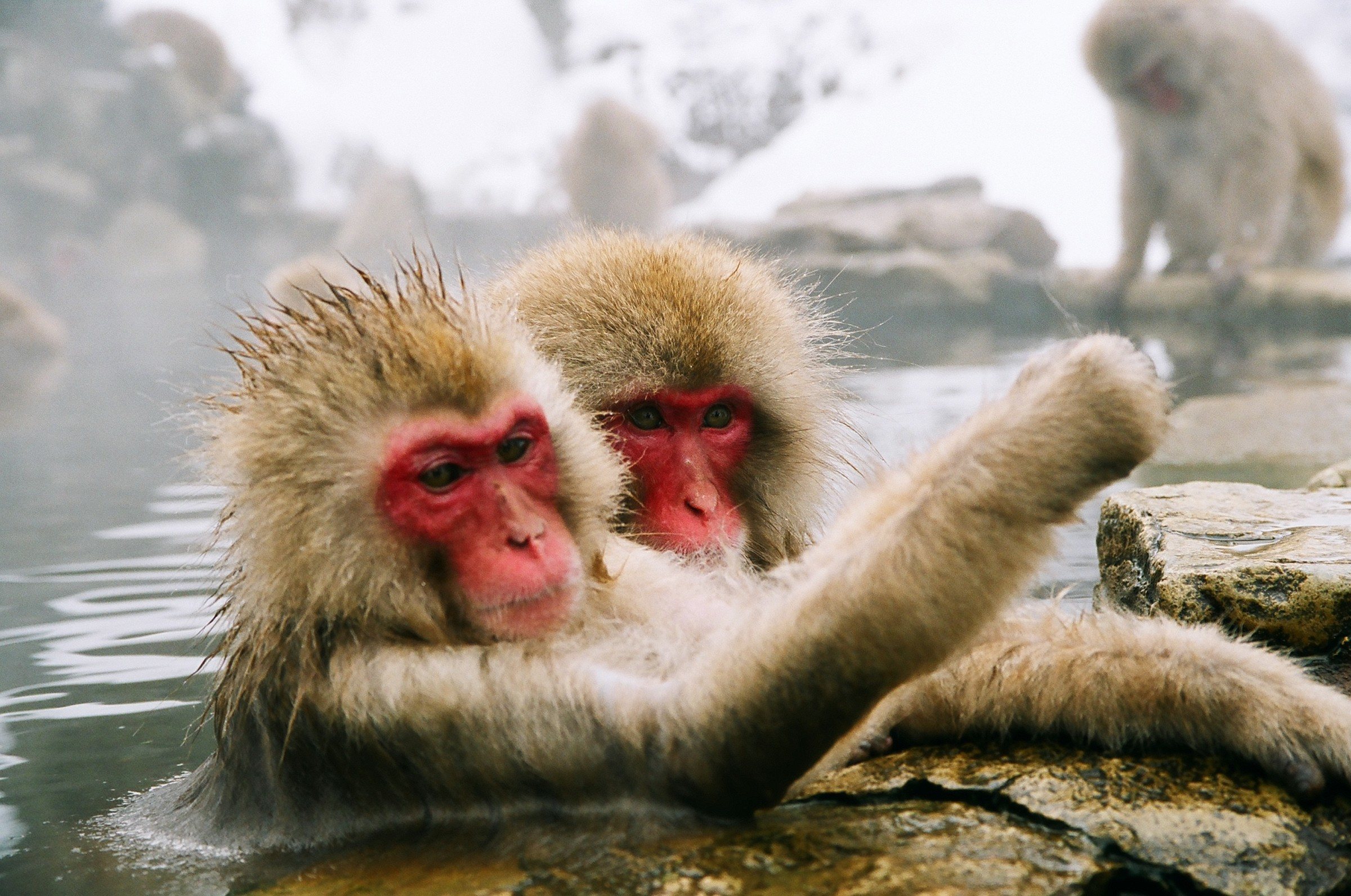 Japan in December: 10 reasons to go | InsideJapan Blog