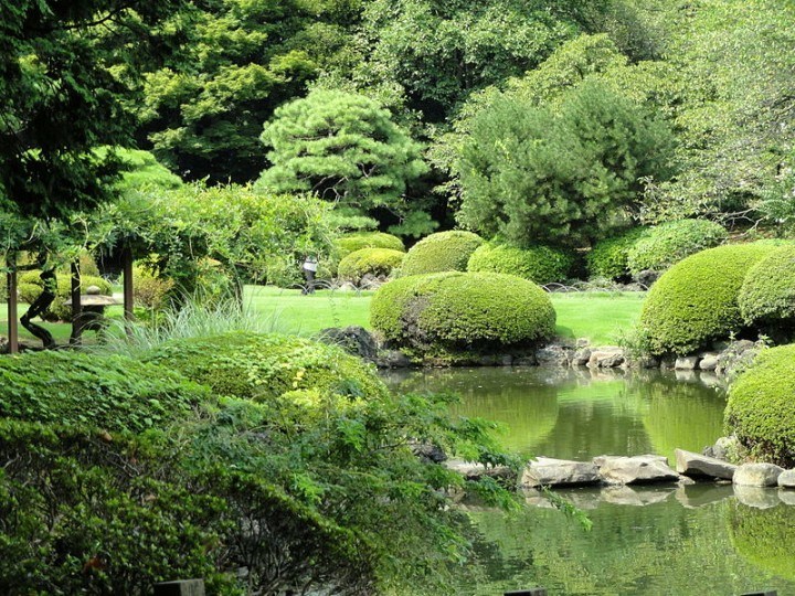 Shinjuku Gyoen