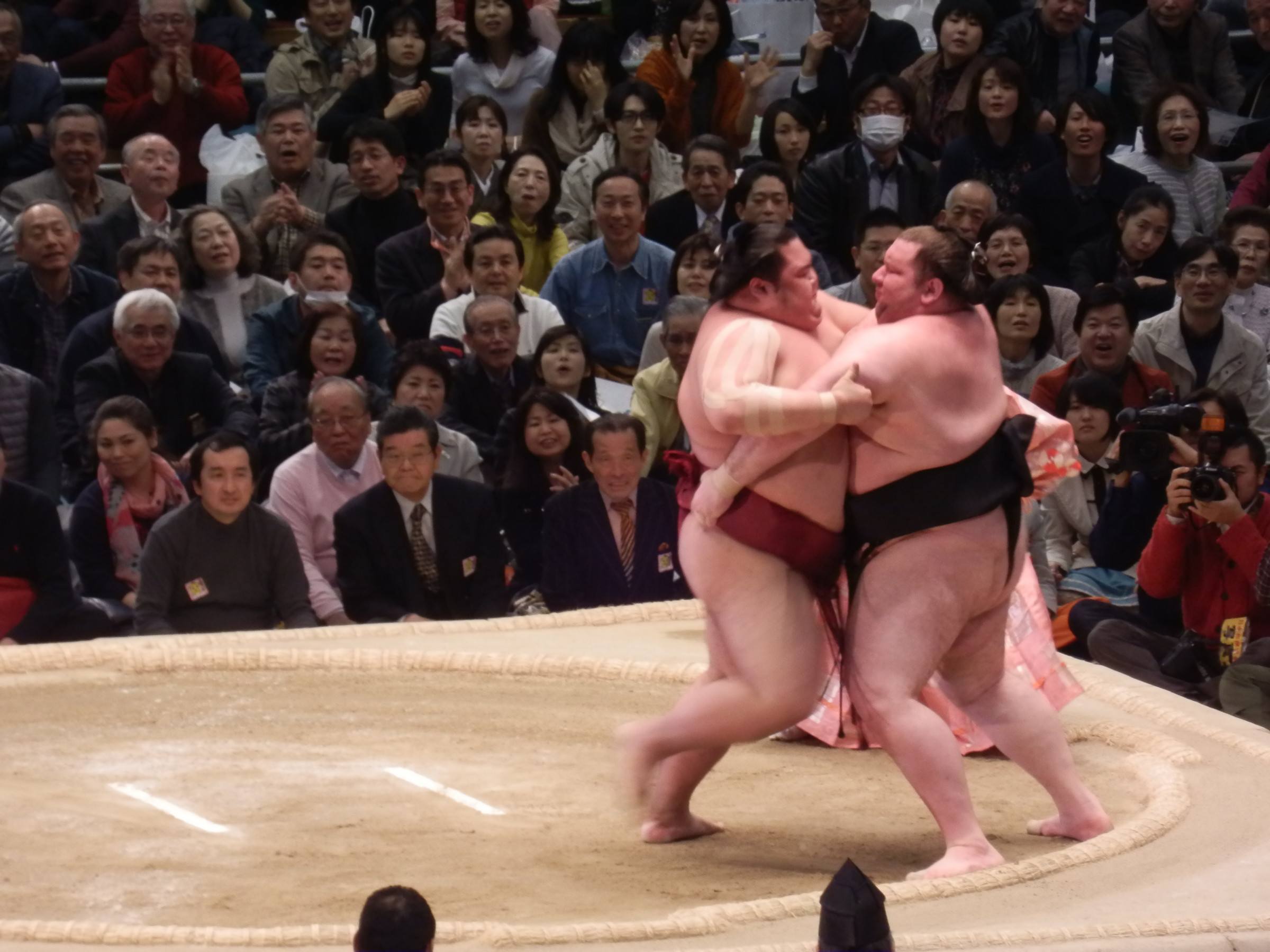 Sumo Wrestler Next To Normal Person