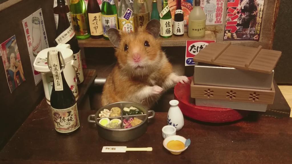 hamster10.jpg