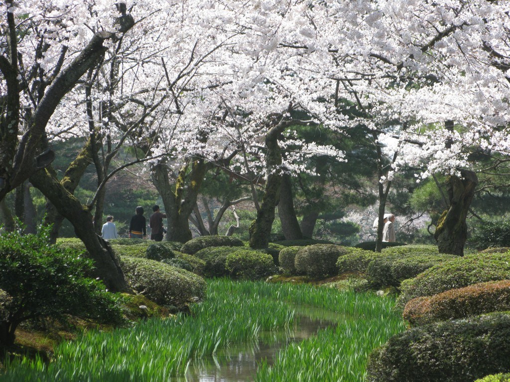 Kenrokuen Gardens in bloom