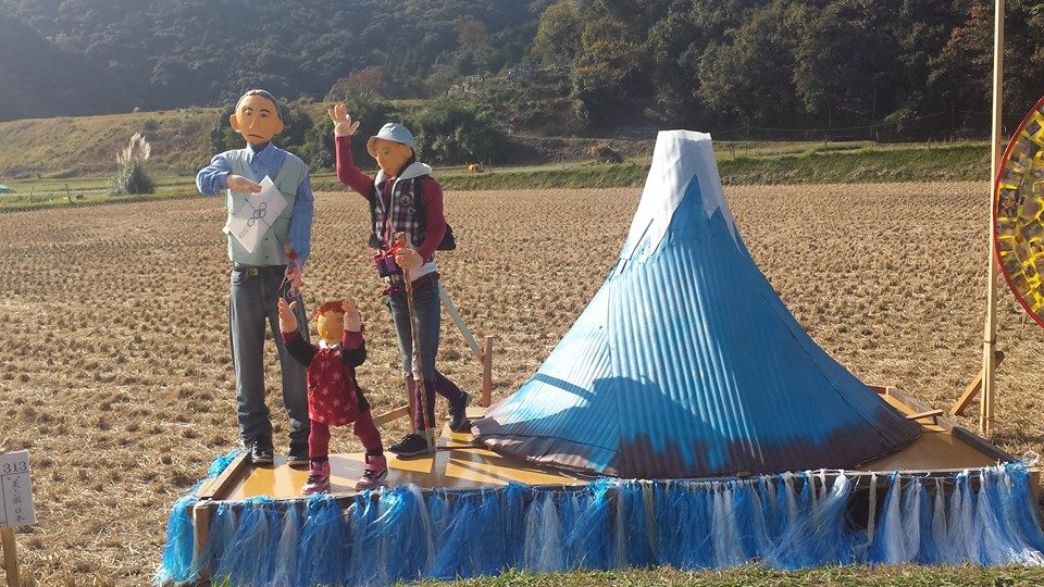 Keeping the birds away