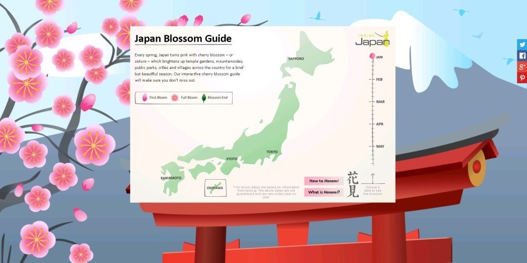 Our cherry blossom guide