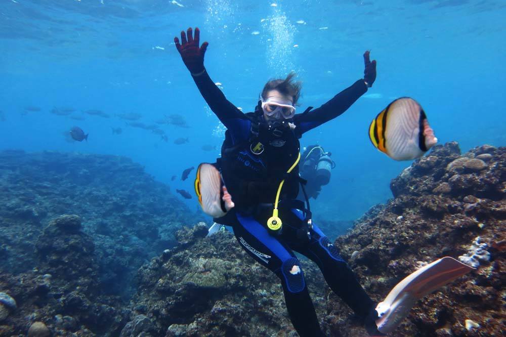 Diving Japan