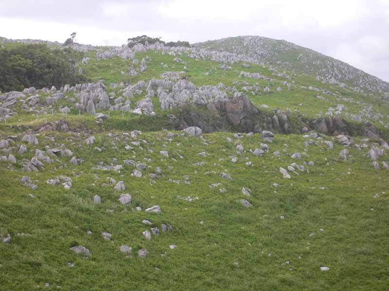 Akiyoshidai Plateau