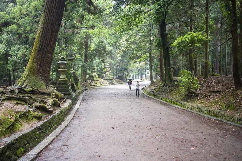 Nara Park