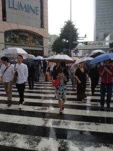 umbrella culture in japan