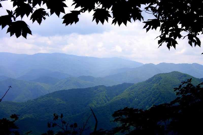 Shirakami-sanchi National Park