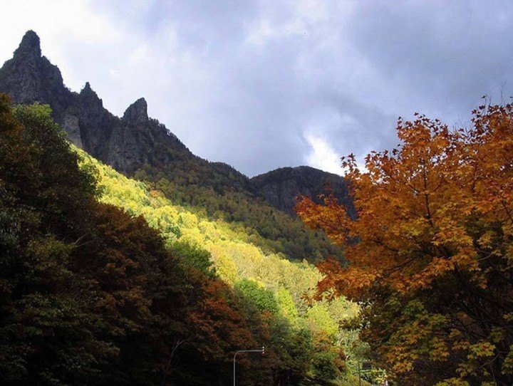 Our top 10 places to see autumn leaves in Japan | InsideJapan Tours