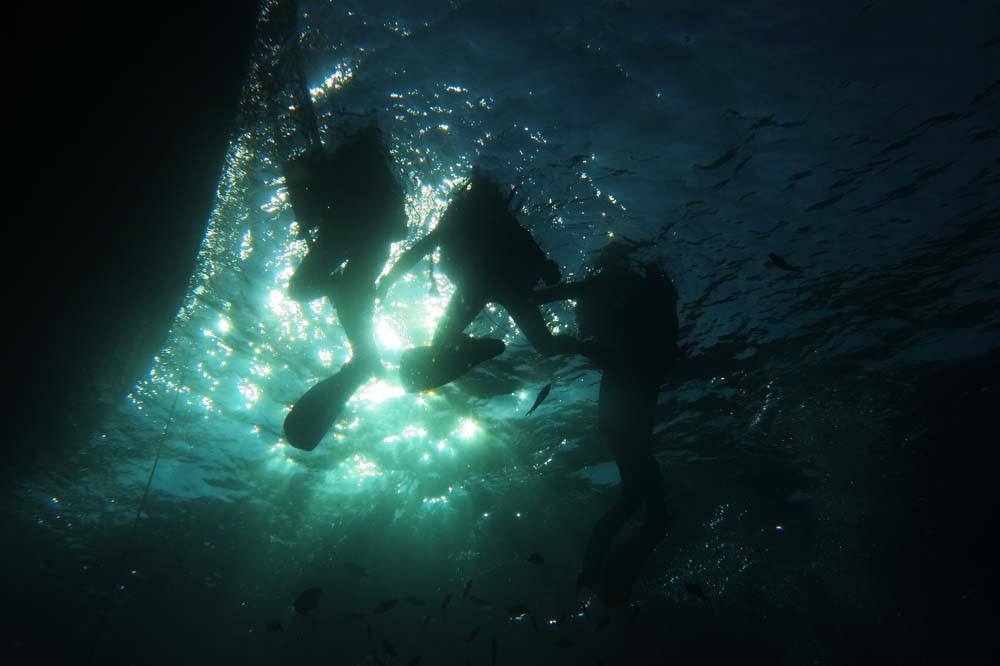Diving on Yakushima