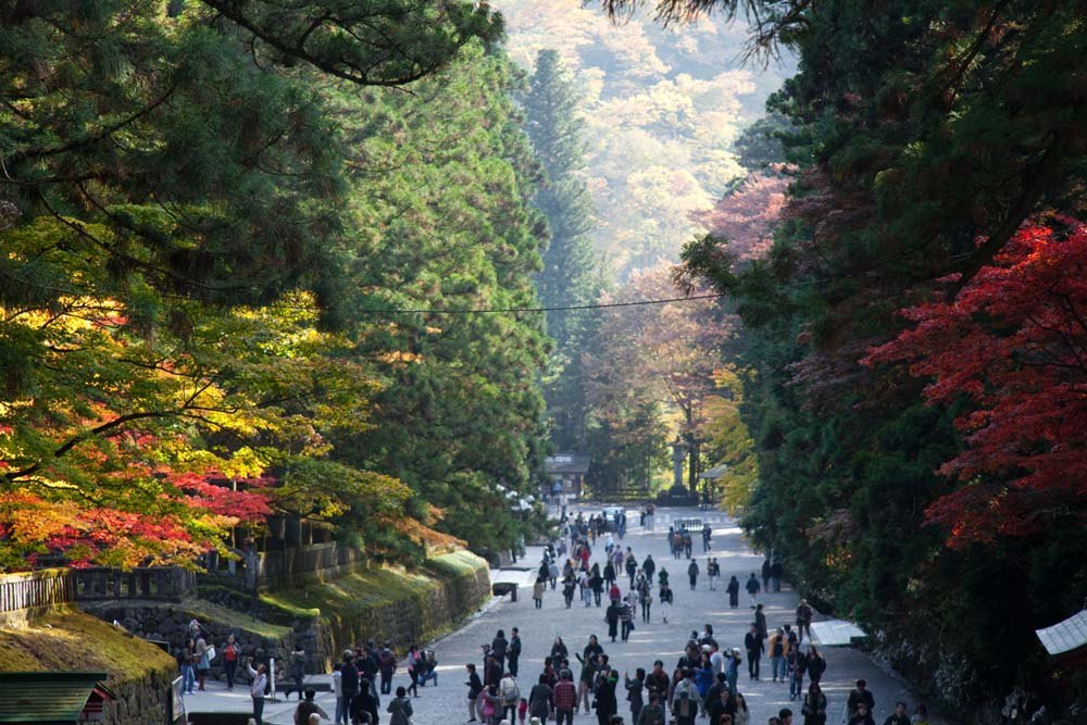 Stunning Nikko autumn leaves in Japan
