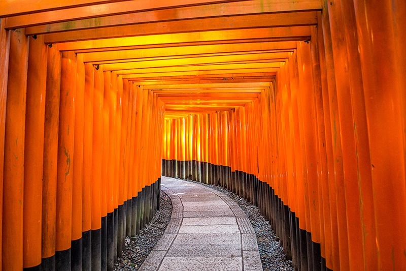 The ten thousand red gates of Fushimi Inari