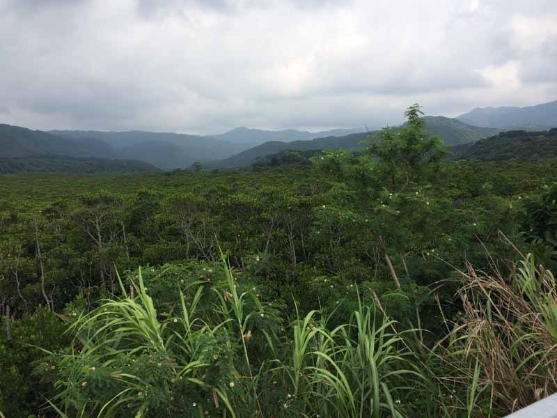 Trekking to Pinaisara Waterfall