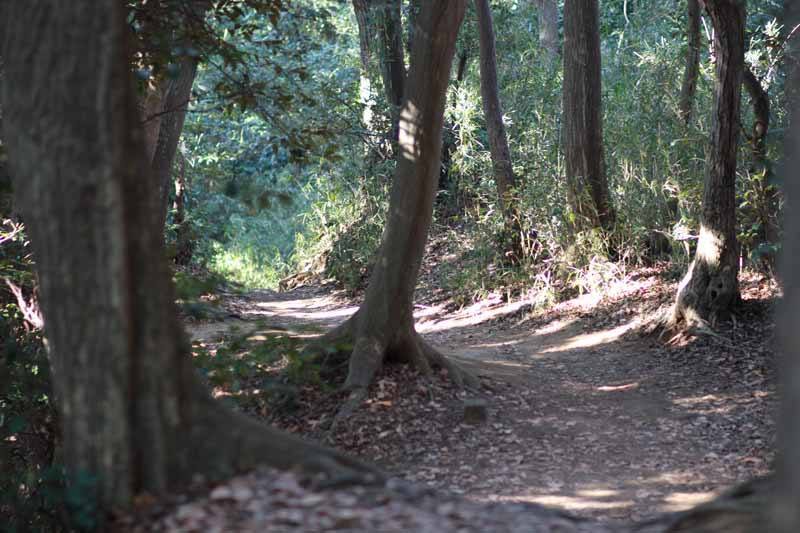 On the Daibutsu hiking course