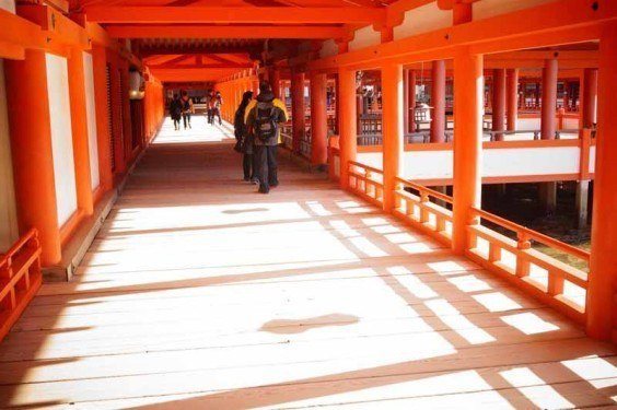 The vermilion pillars of the shrine