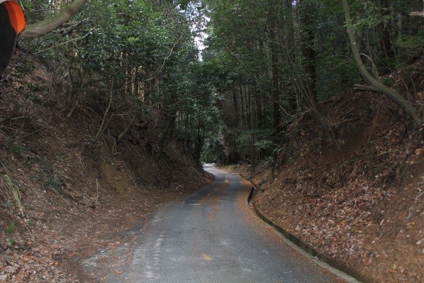 Descending to Arashiyama