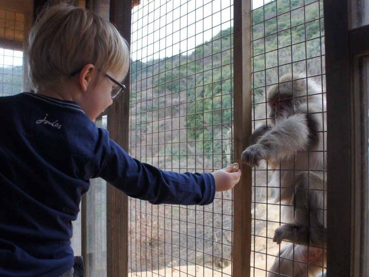 Making friends with monkeys in Arashiyama