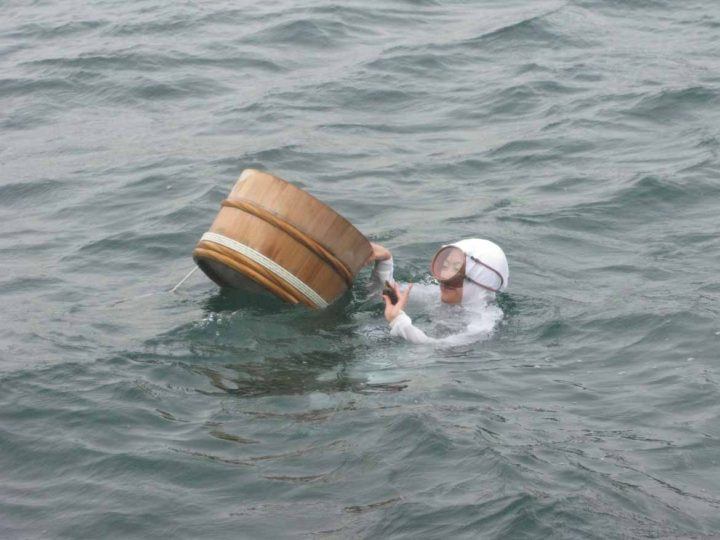 Watch an ama diver show at Toba