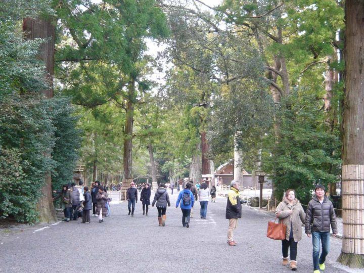 The Ise shrines are set in peaceful cedar forests