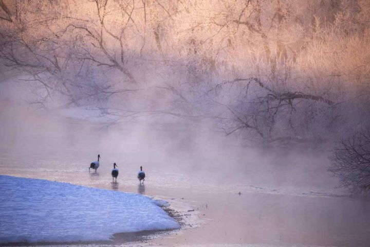 Steam rises as the sun hits the river