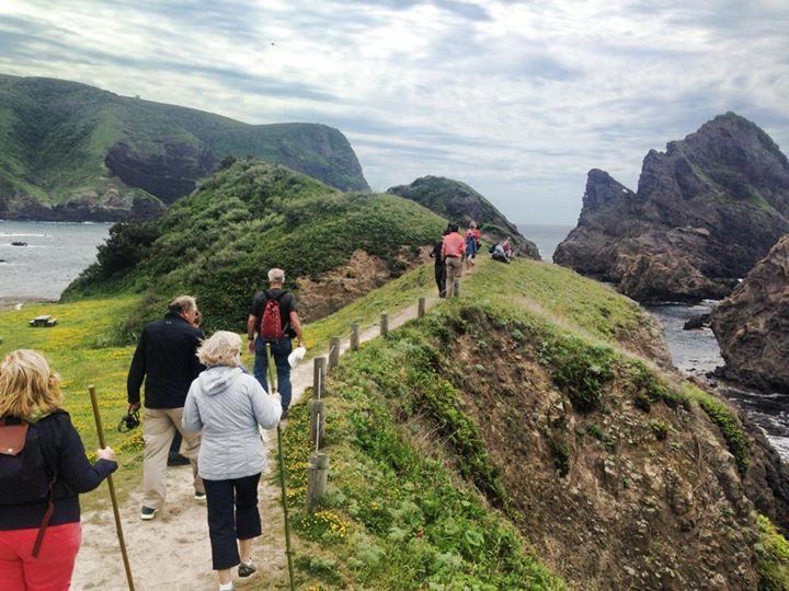 Walking in the Oki Islands