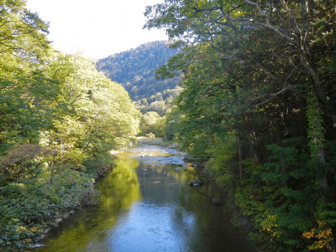 The lush Yagen Valley