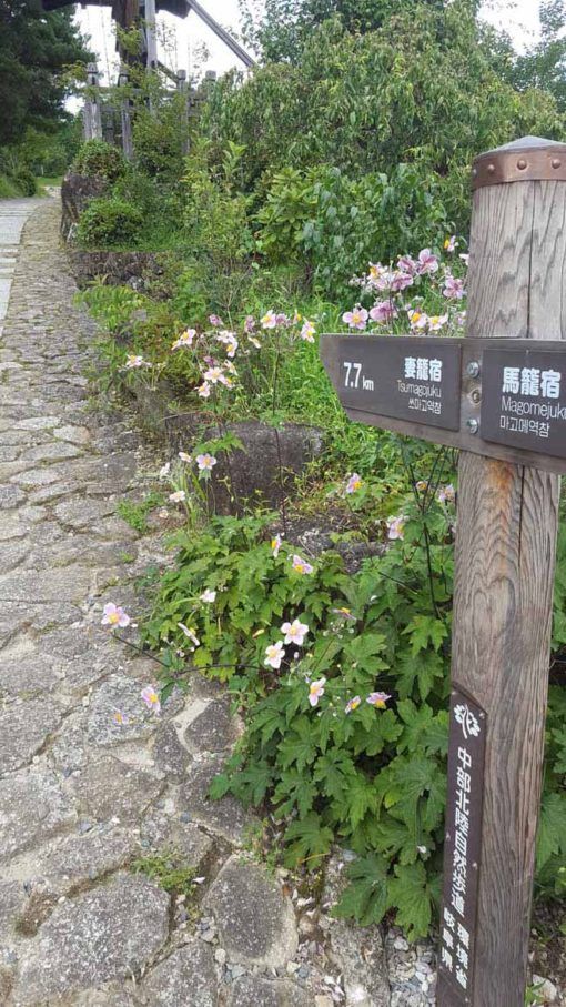 Starting out on the Nakasendo Way