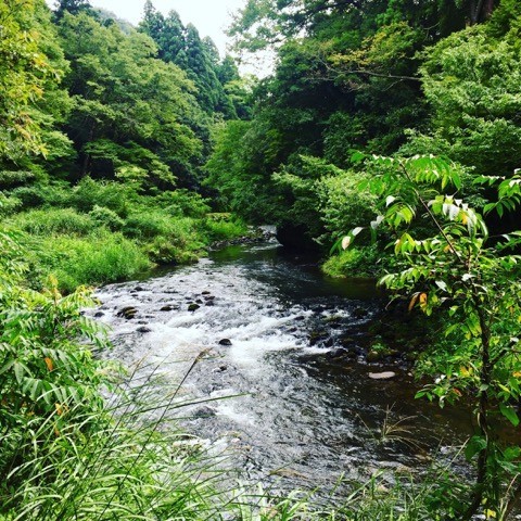 Bubbling streams