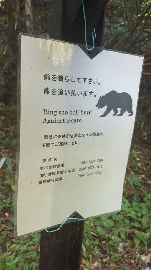 Beware bears