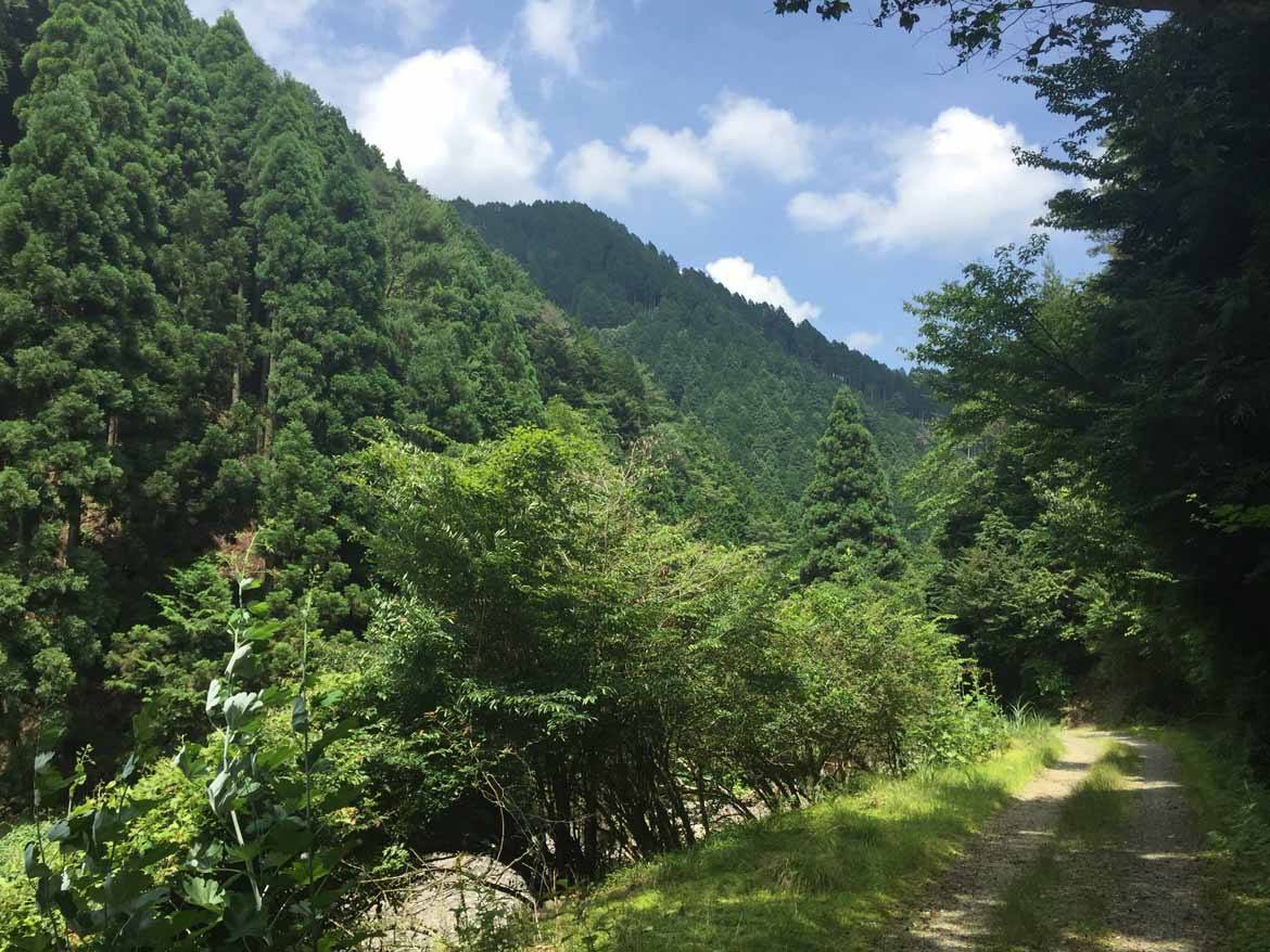 The Yokawa Sakamoto trail