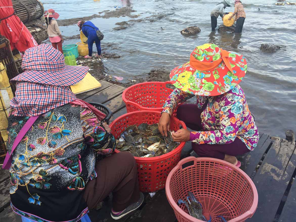 Fisherwomen sorting their catch
