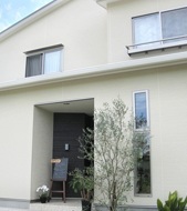 Aoitori Guest House Image