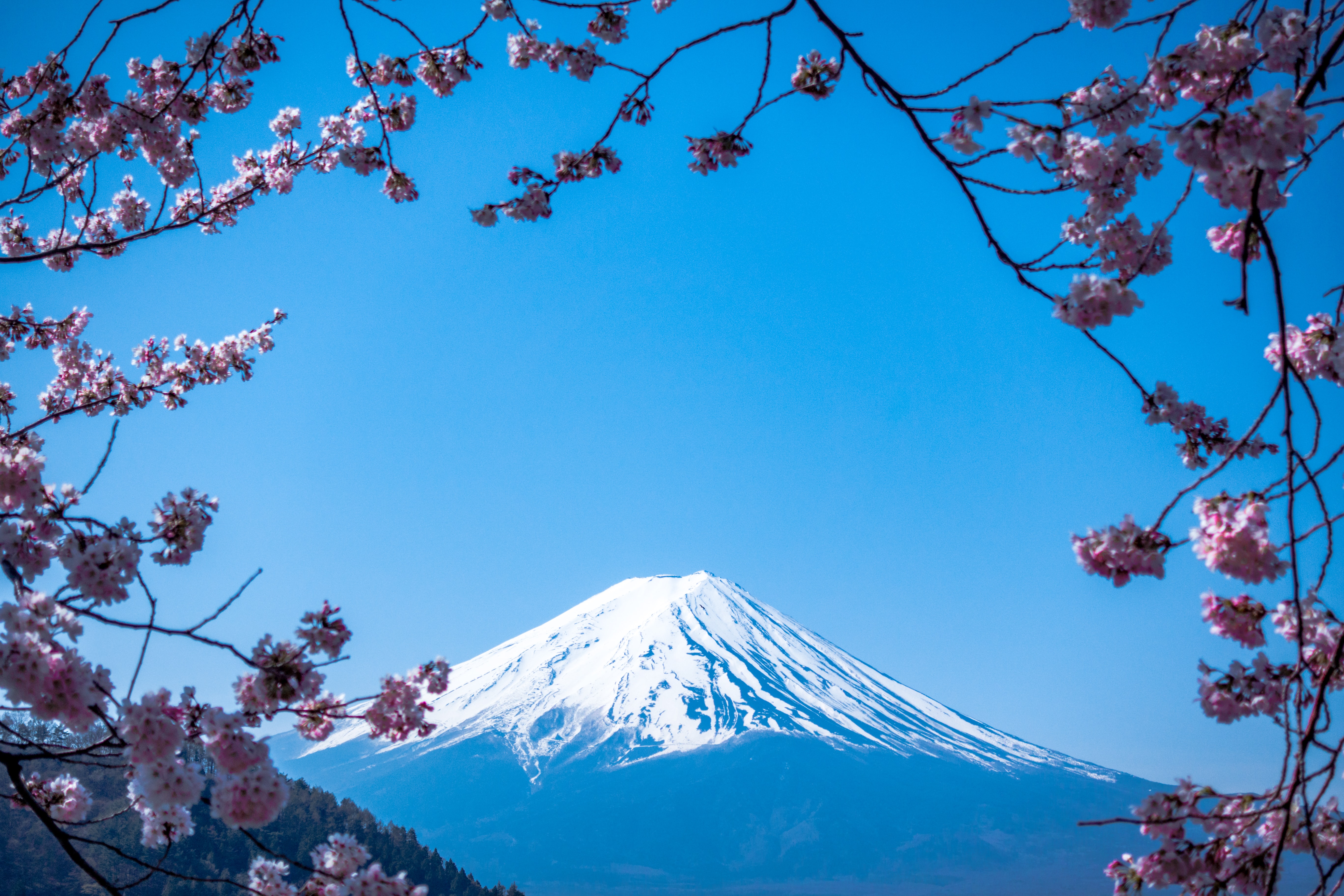 Inside Japan