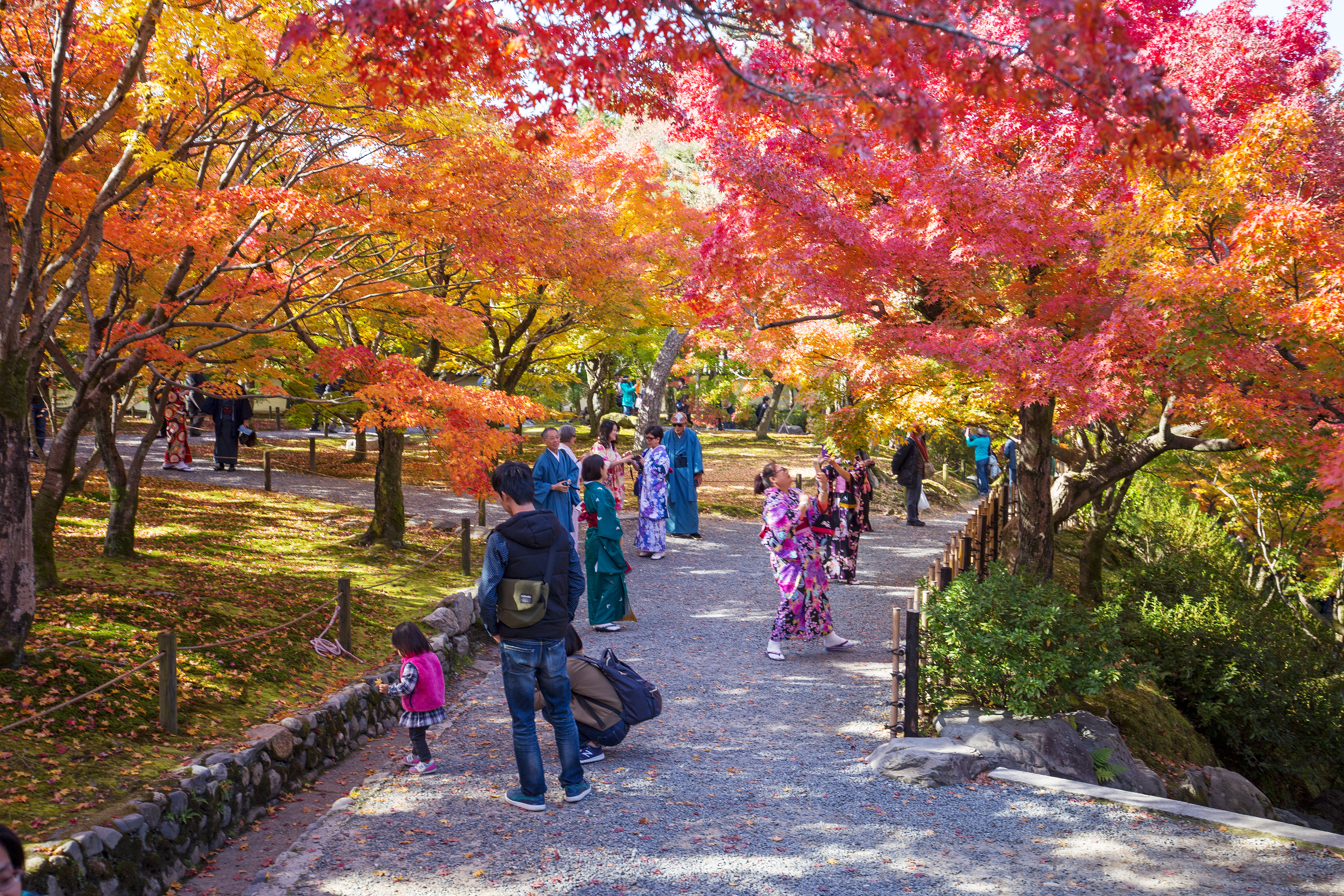 Inside Japan