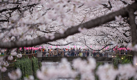 Inside Japan