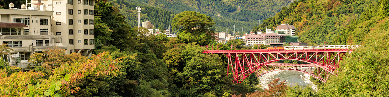 Inside Japan